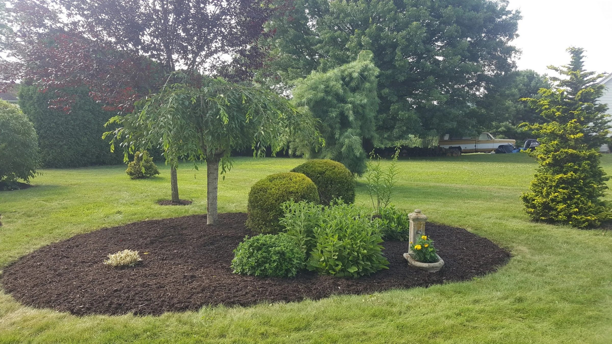 Lush garden with diverse plants and trees