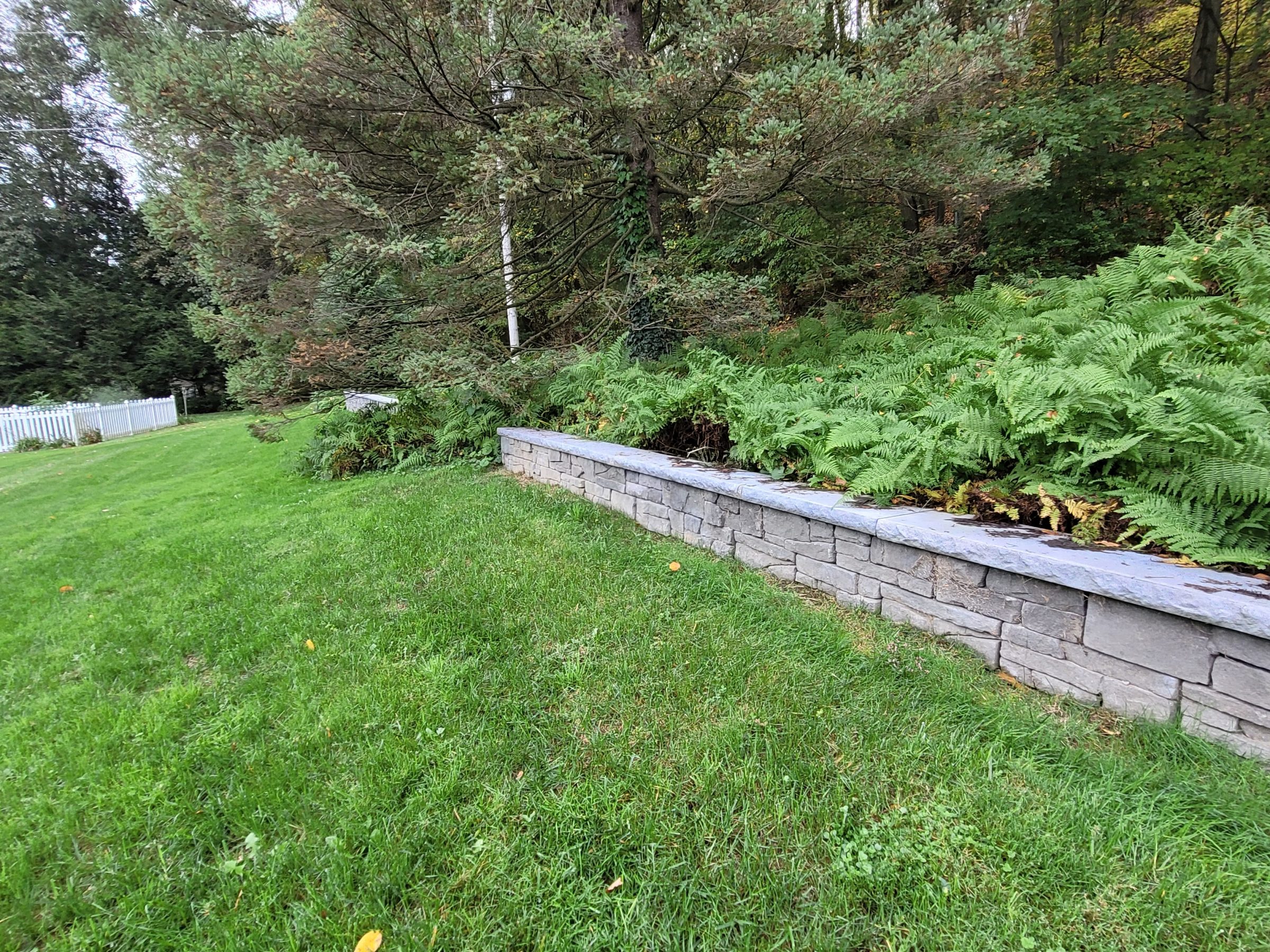 Lush garden with stone retaining wall