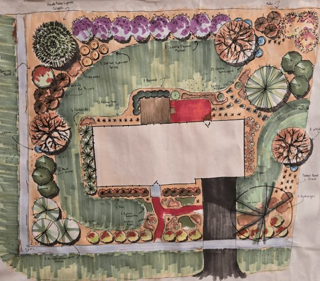 Hand-drawn landscape design plan with trees and pathways