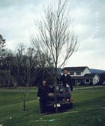 Two men sitting on bench near leafless tree