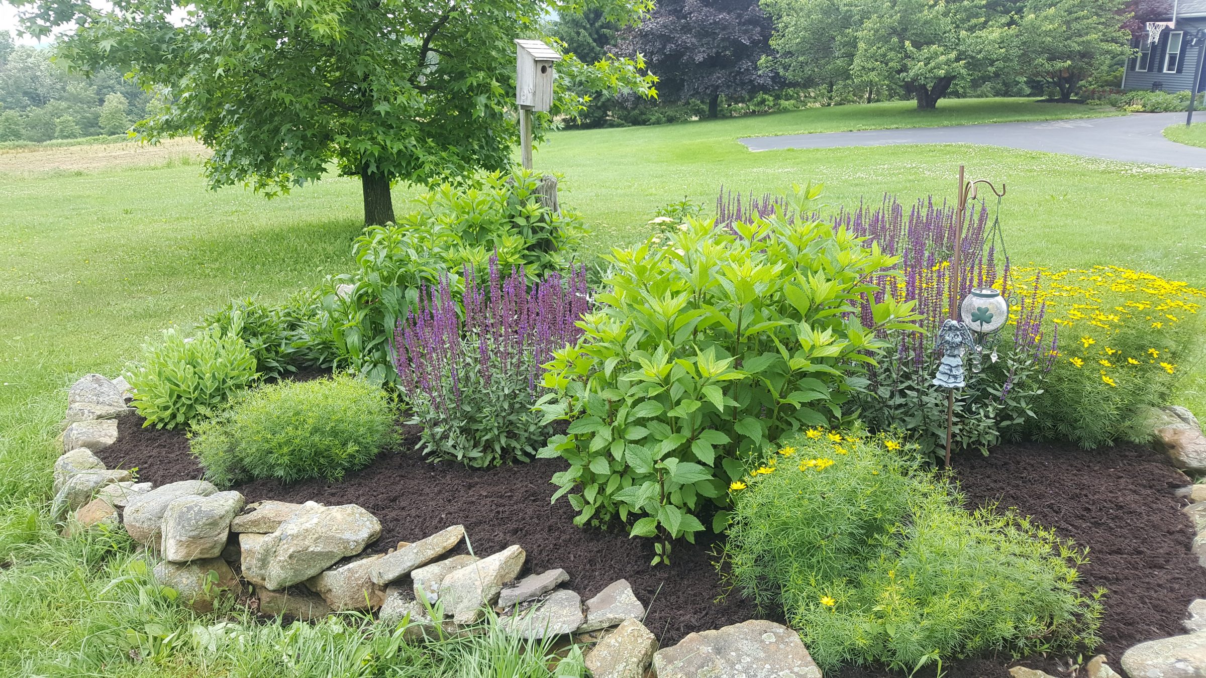 Lush garden with colorful flowers and stone border.