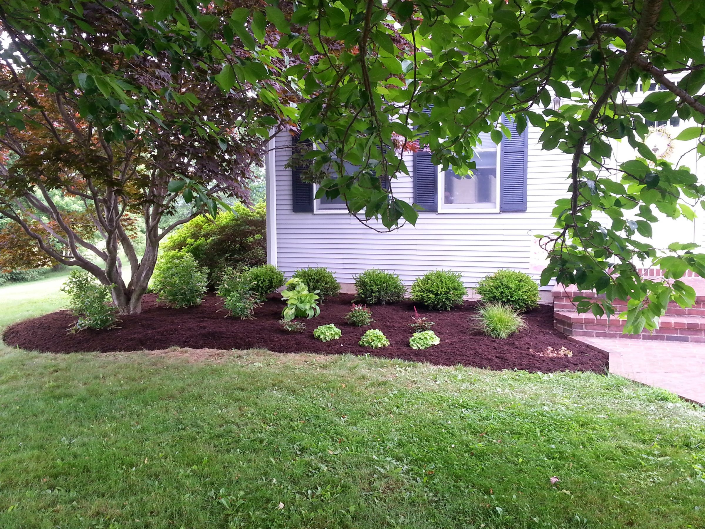 Well-maintained garden in front of a house