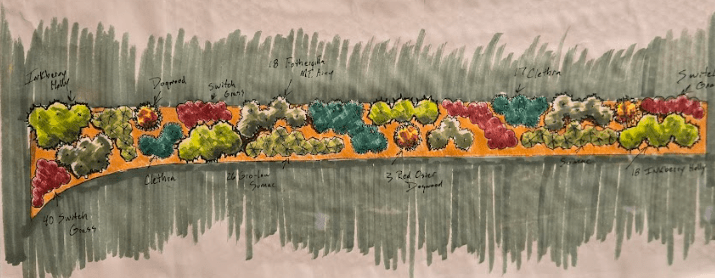 Hand-drawn landscape garden bed planting plan sketch