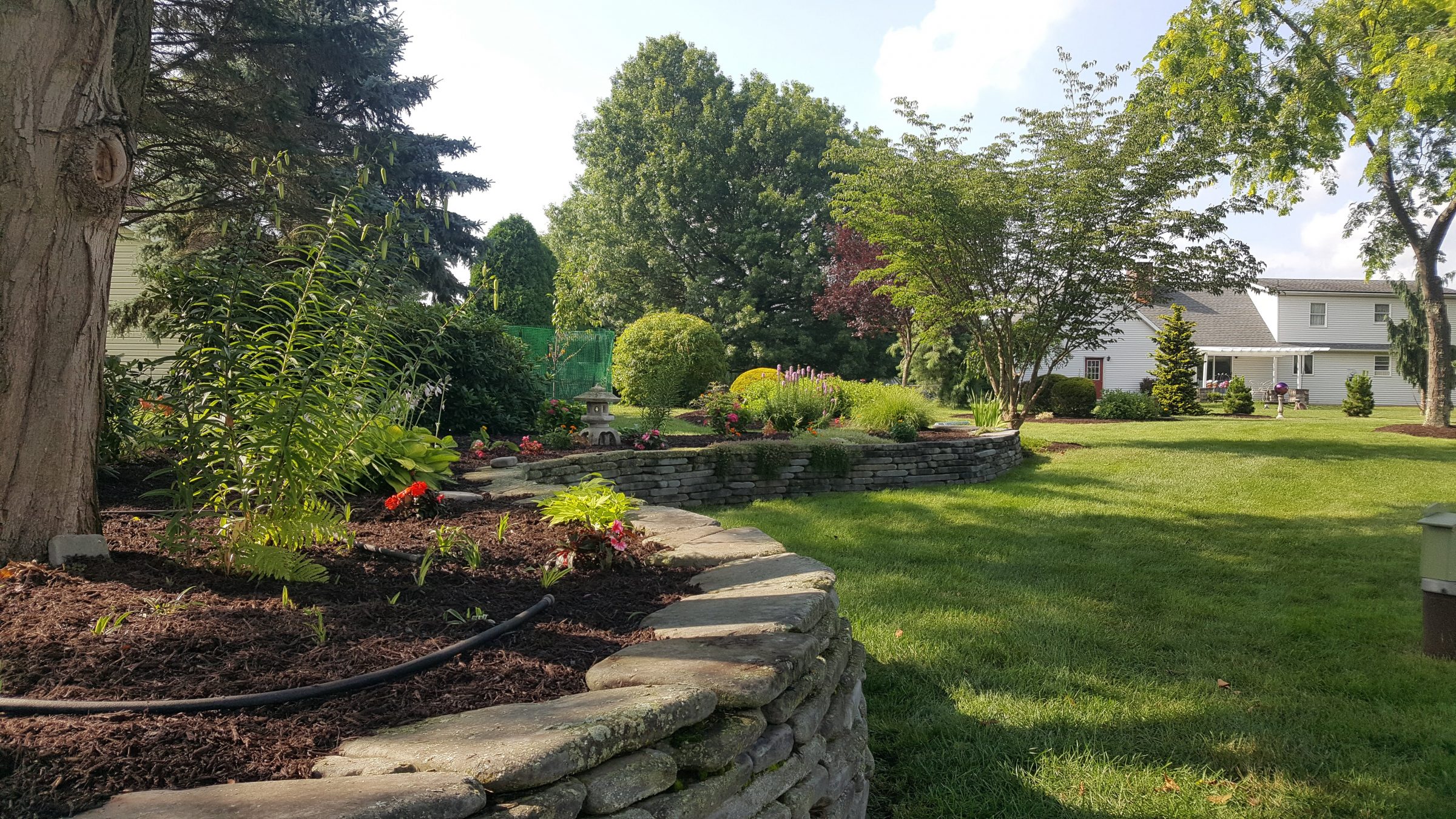 Landscaped backyard with stone retaining wall and garden beds