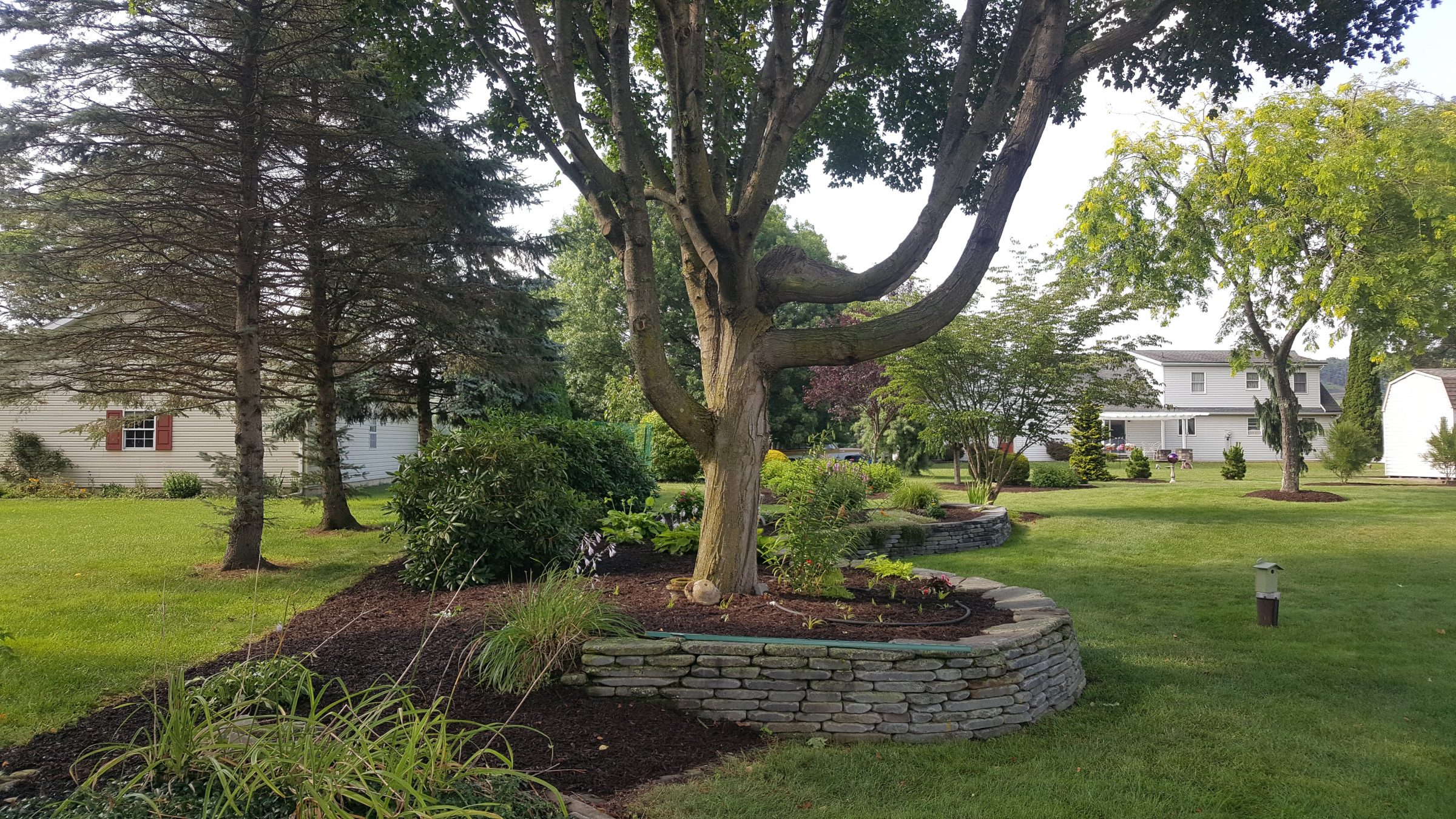 Landscaped backyard with stone retaining wall and trees