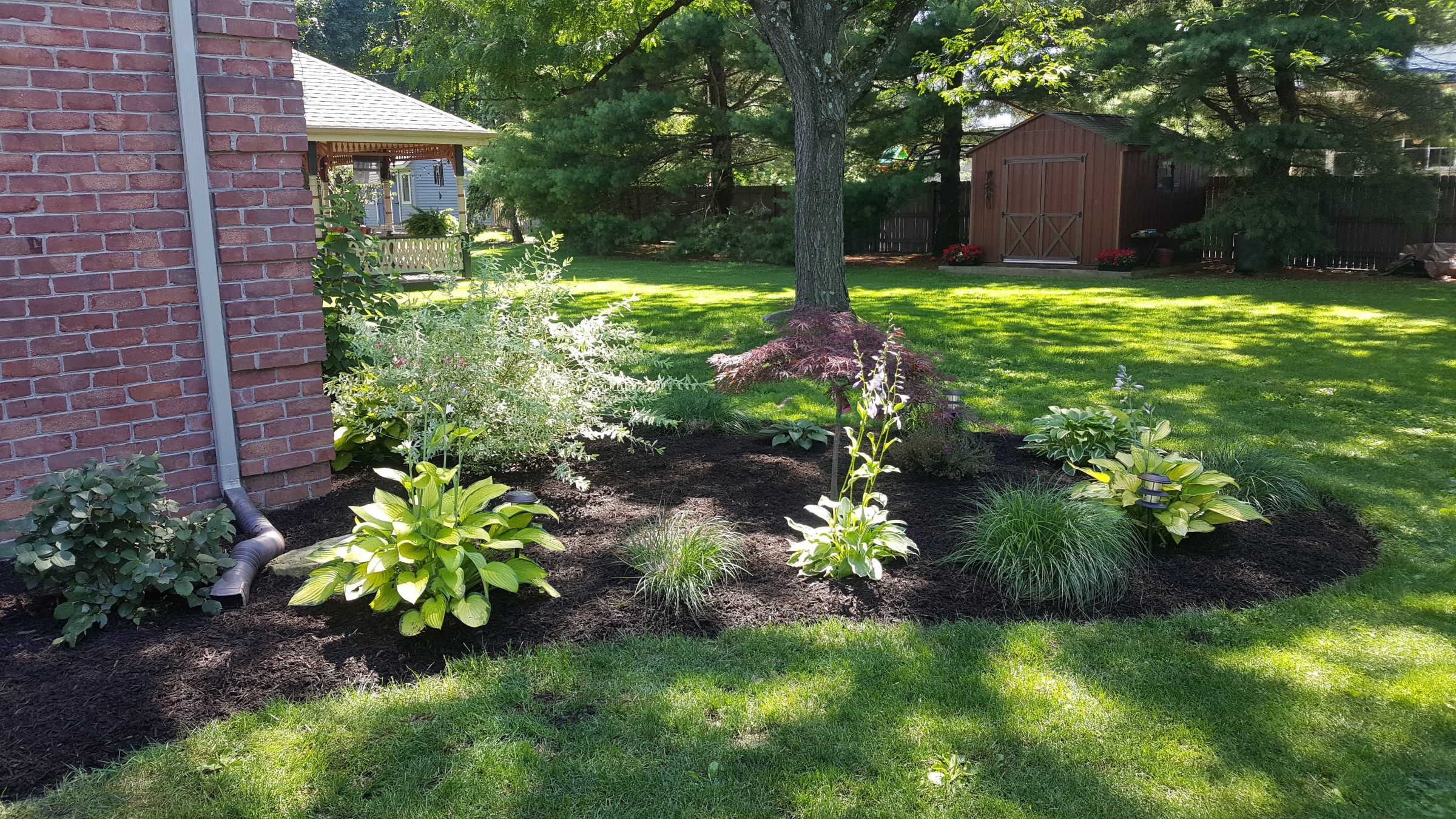 Landscaped backyard garden bed with mulch and shrubs