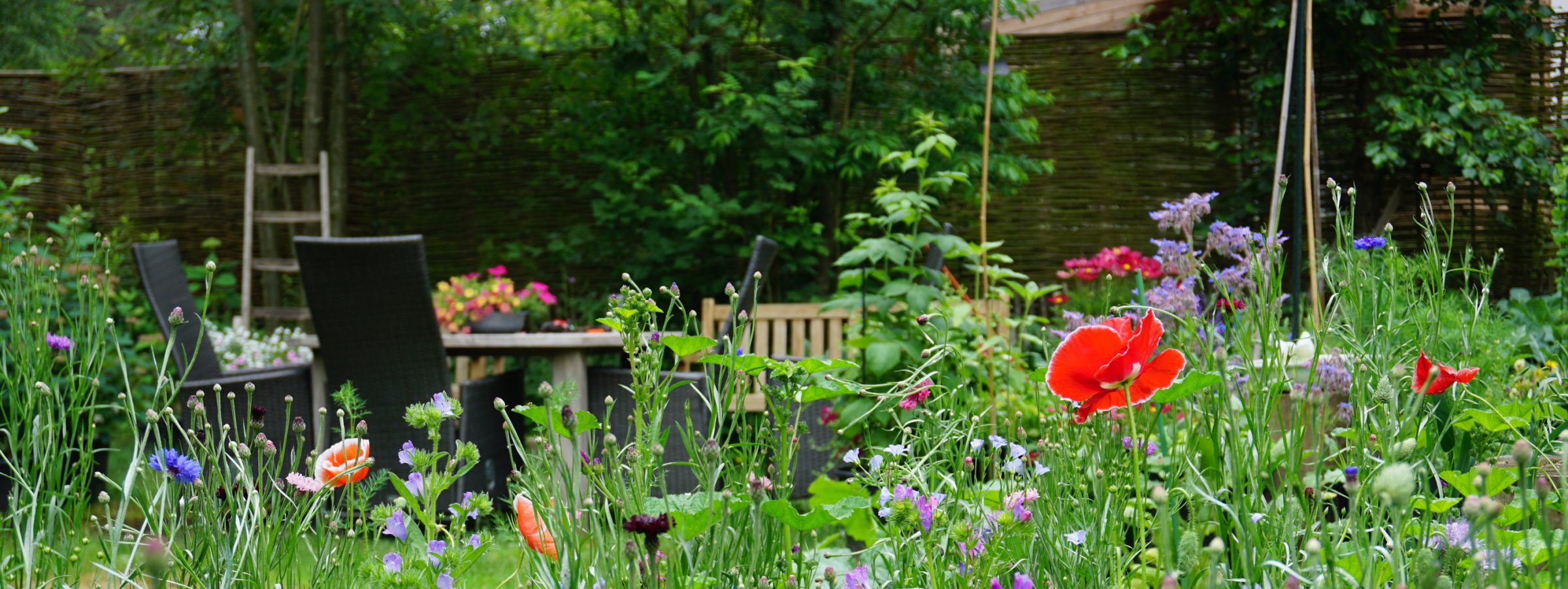 Colorful wildflower garden with patio seating area