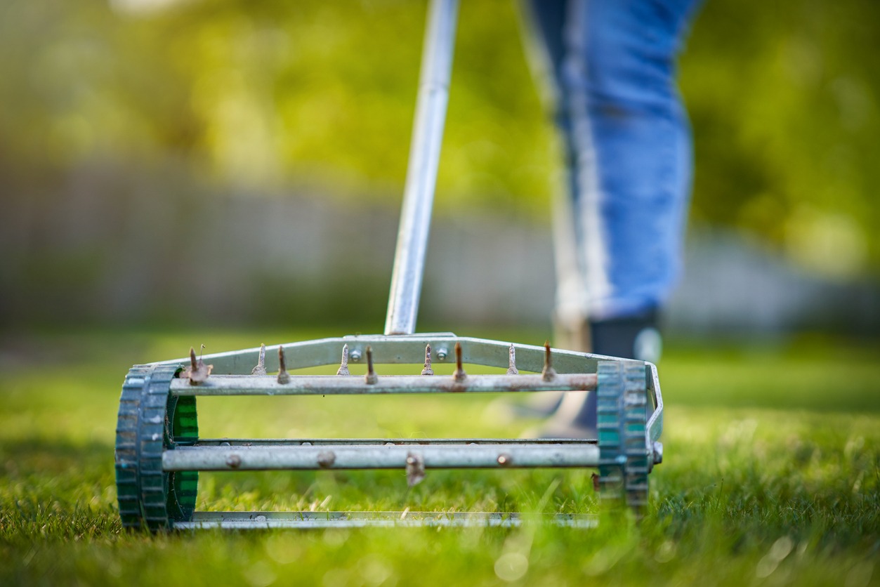 Close-up of garden aerator on lawn