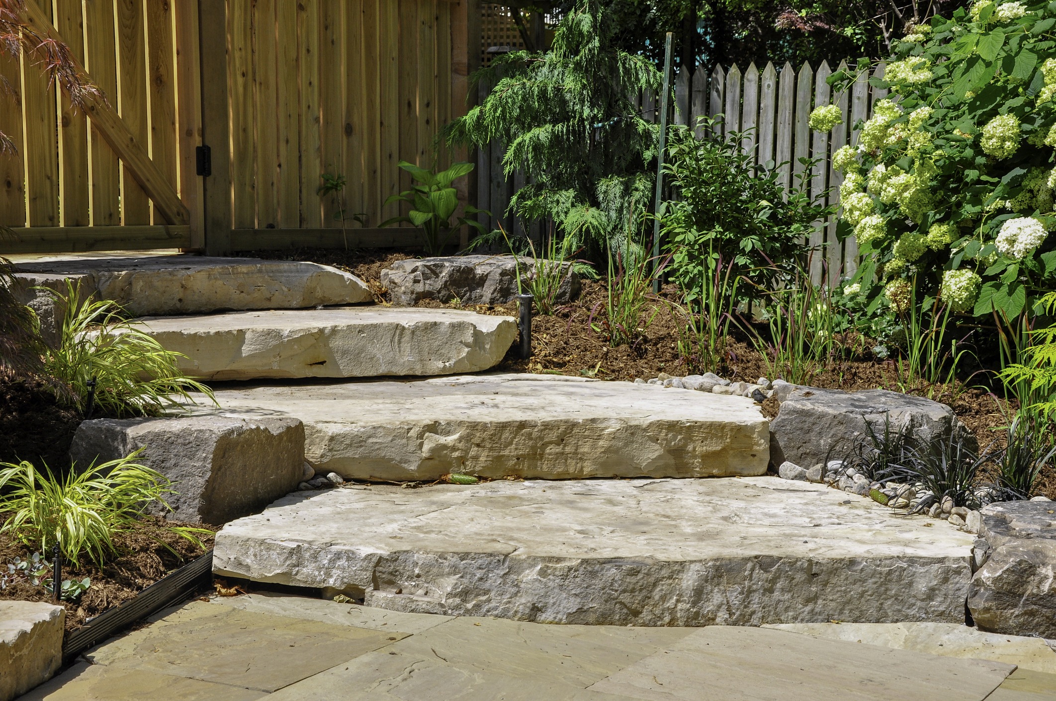 Stone steps in a landscaped garden