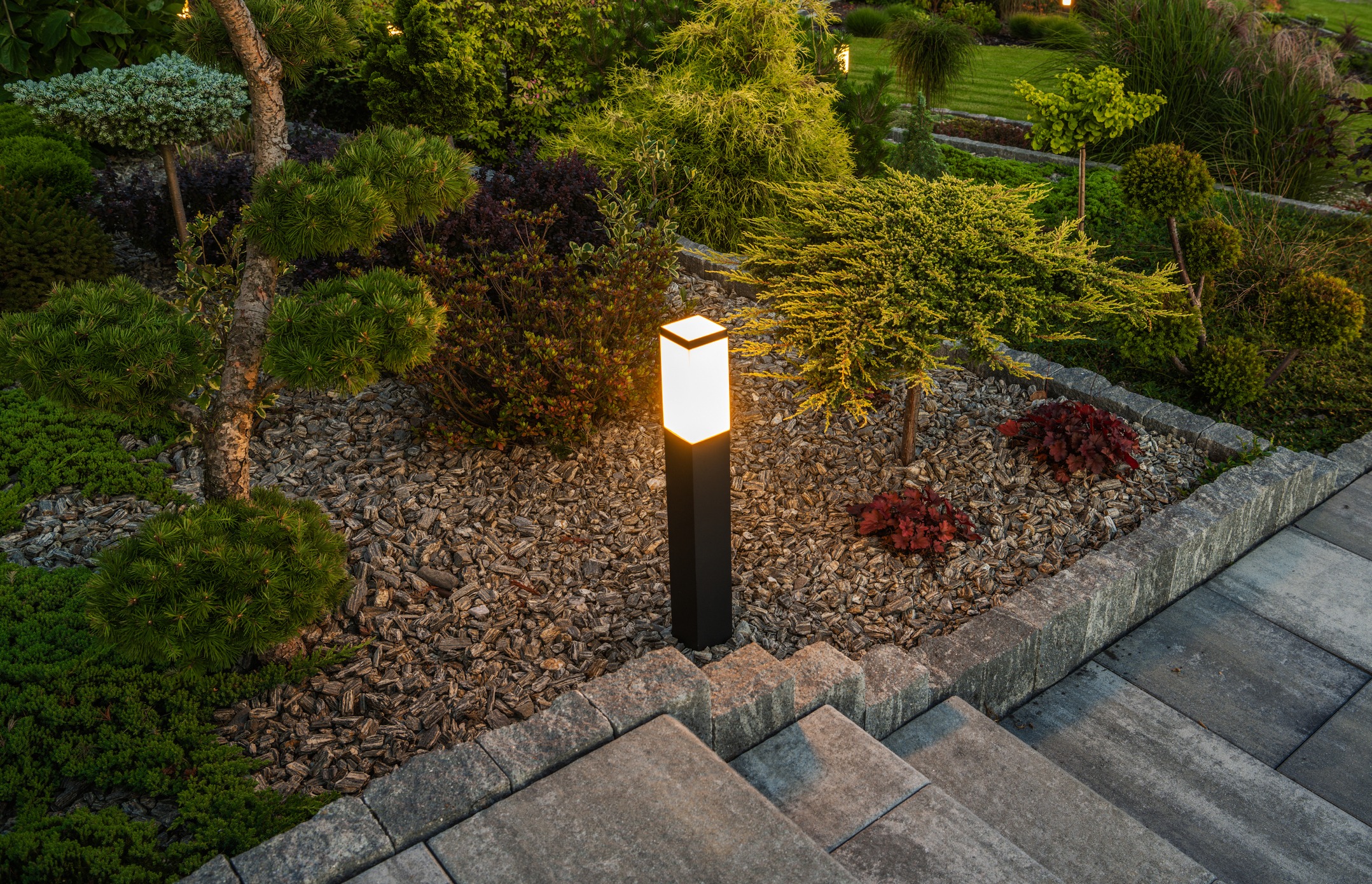 Illuminated garden path with shrubs