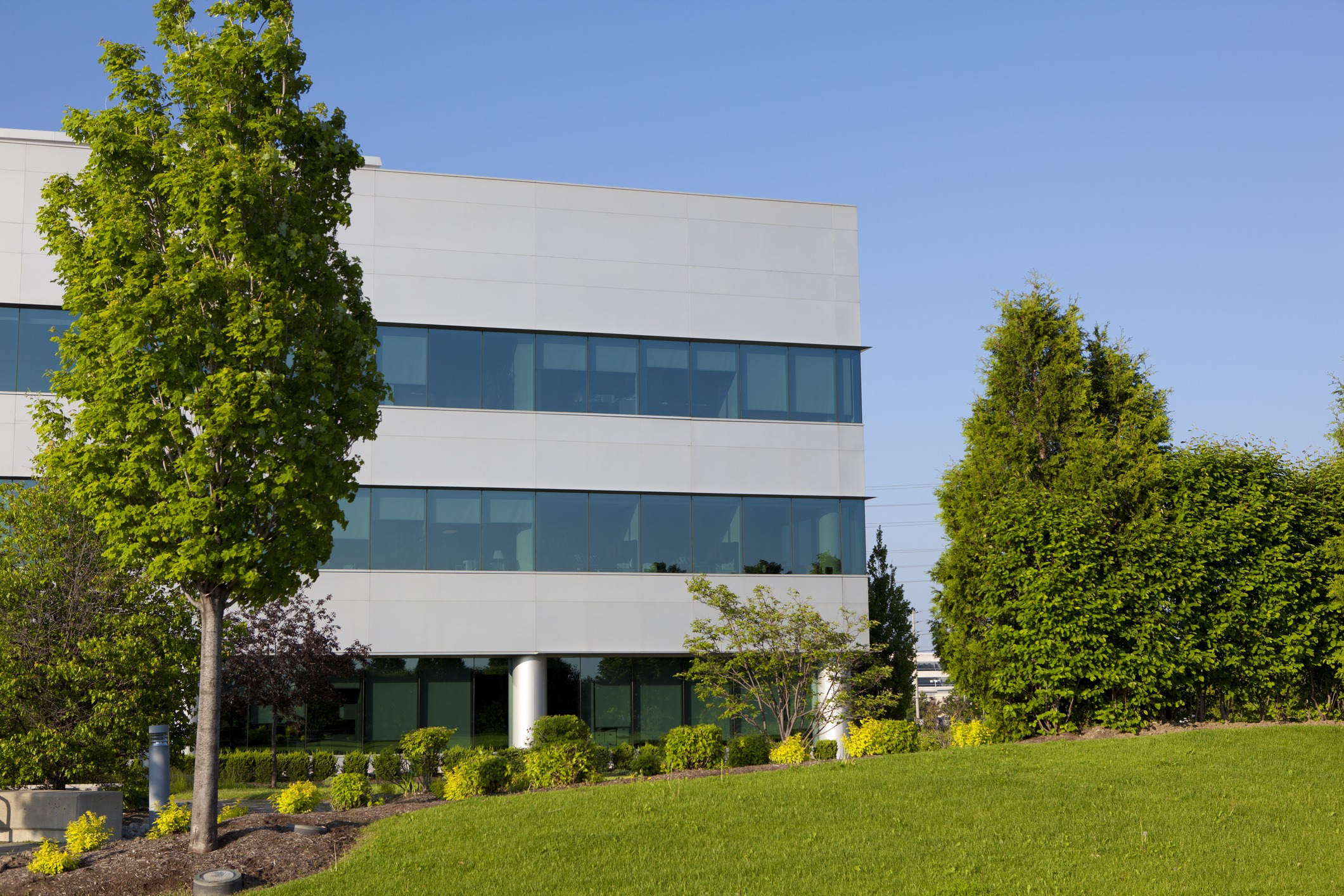 Modern office building with lush greenery