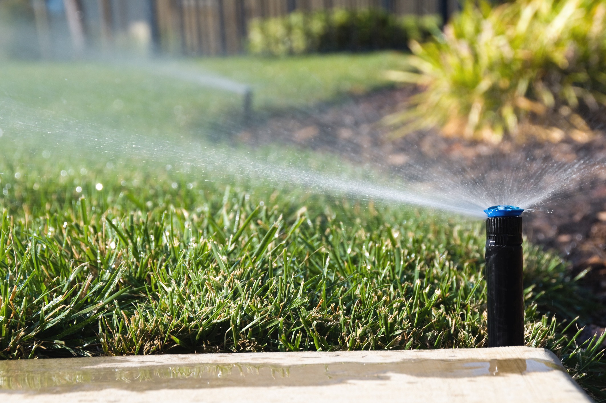 Sprinkler watering green lawn in sunlight