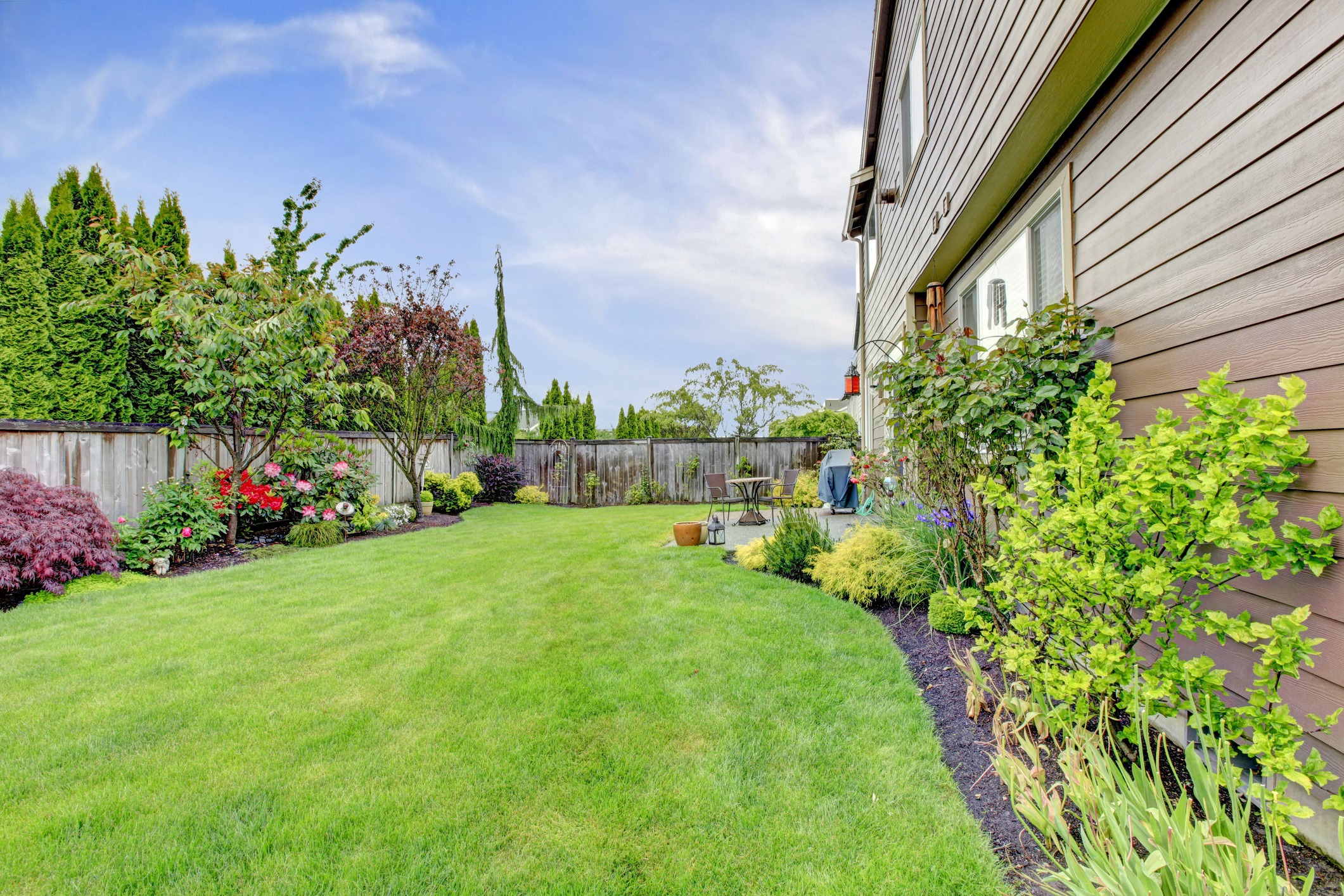 Lush backyard with garden and fence