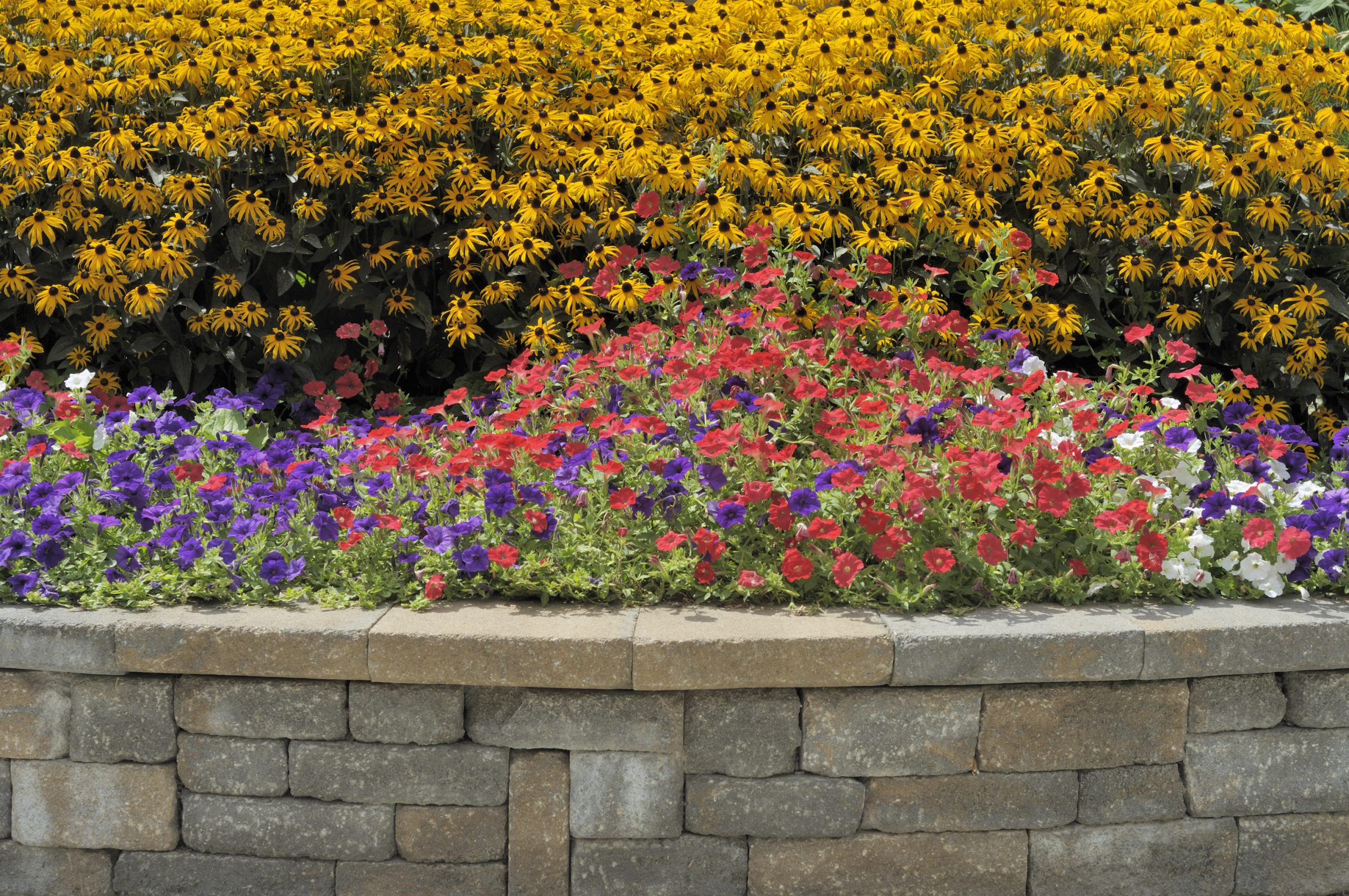 Colorful flower bed above stone retaining wall