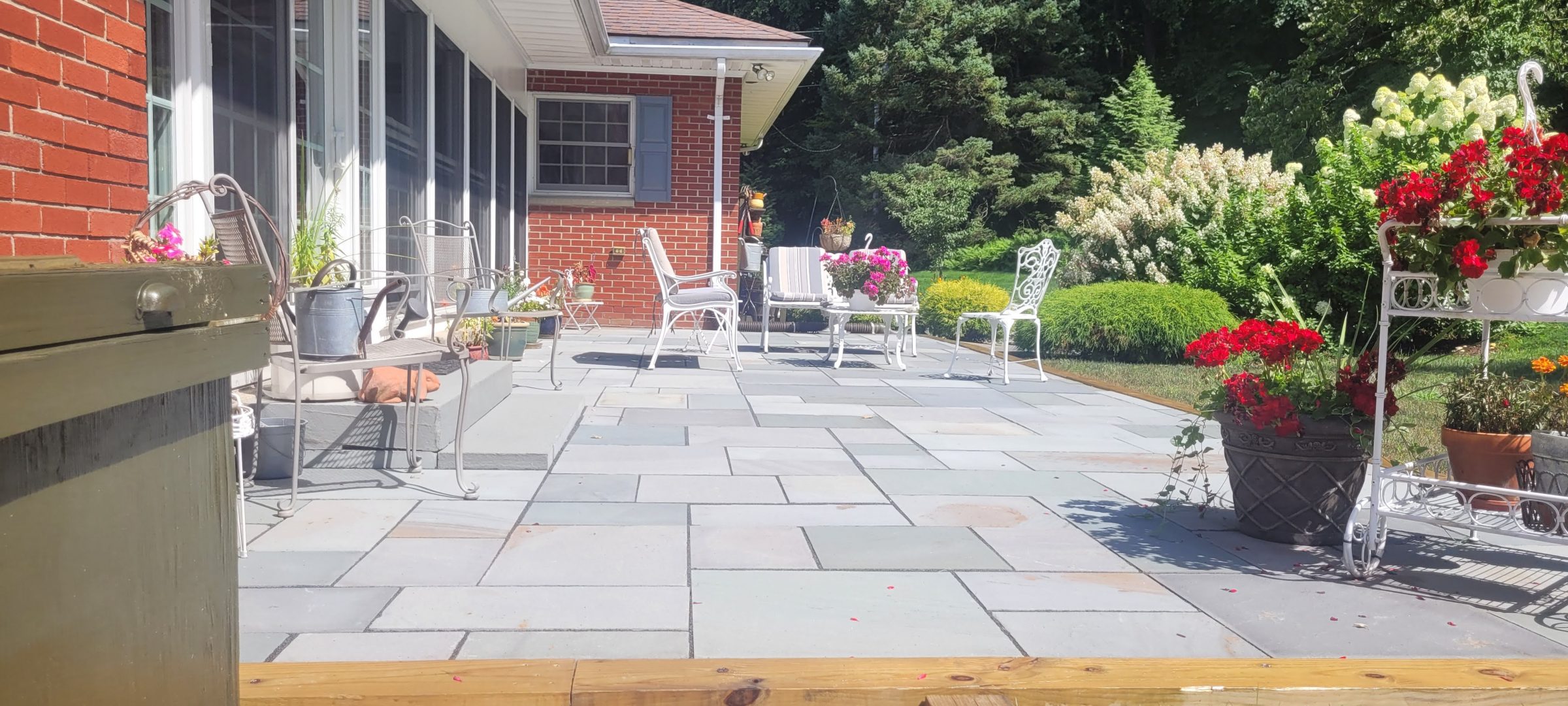 Sunny patio with plants and seating