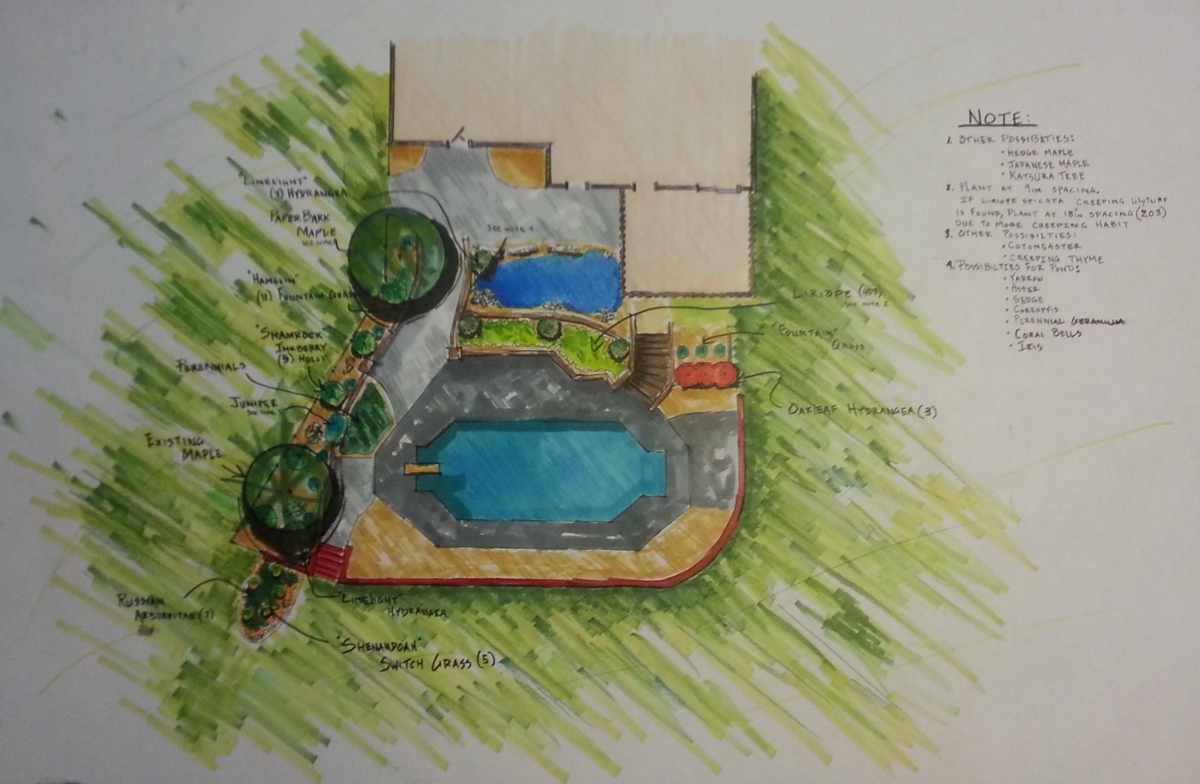 Hand-drawn landscape design with pool and plants