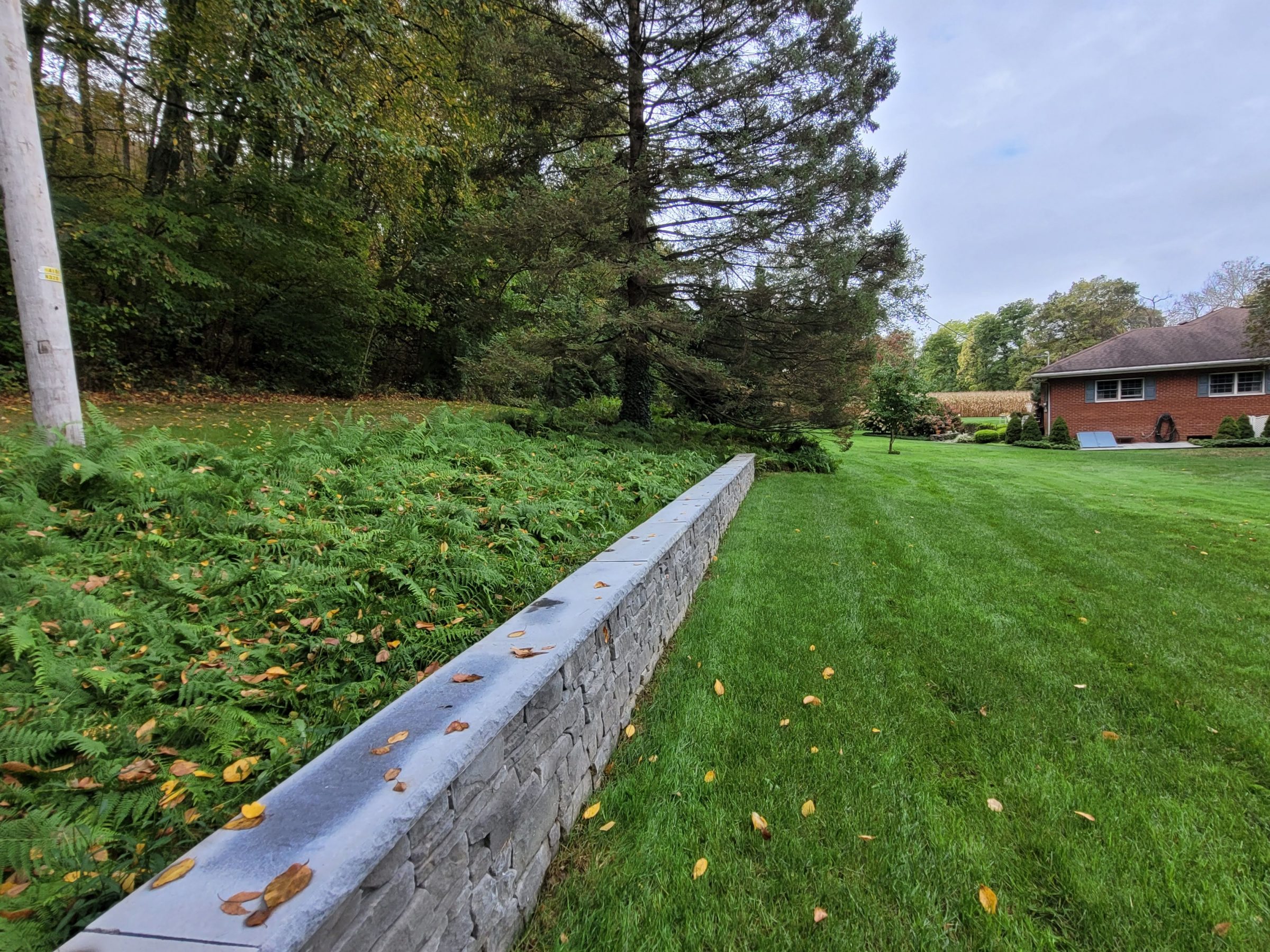 Backyard lawn with stone retaining wall and trees
