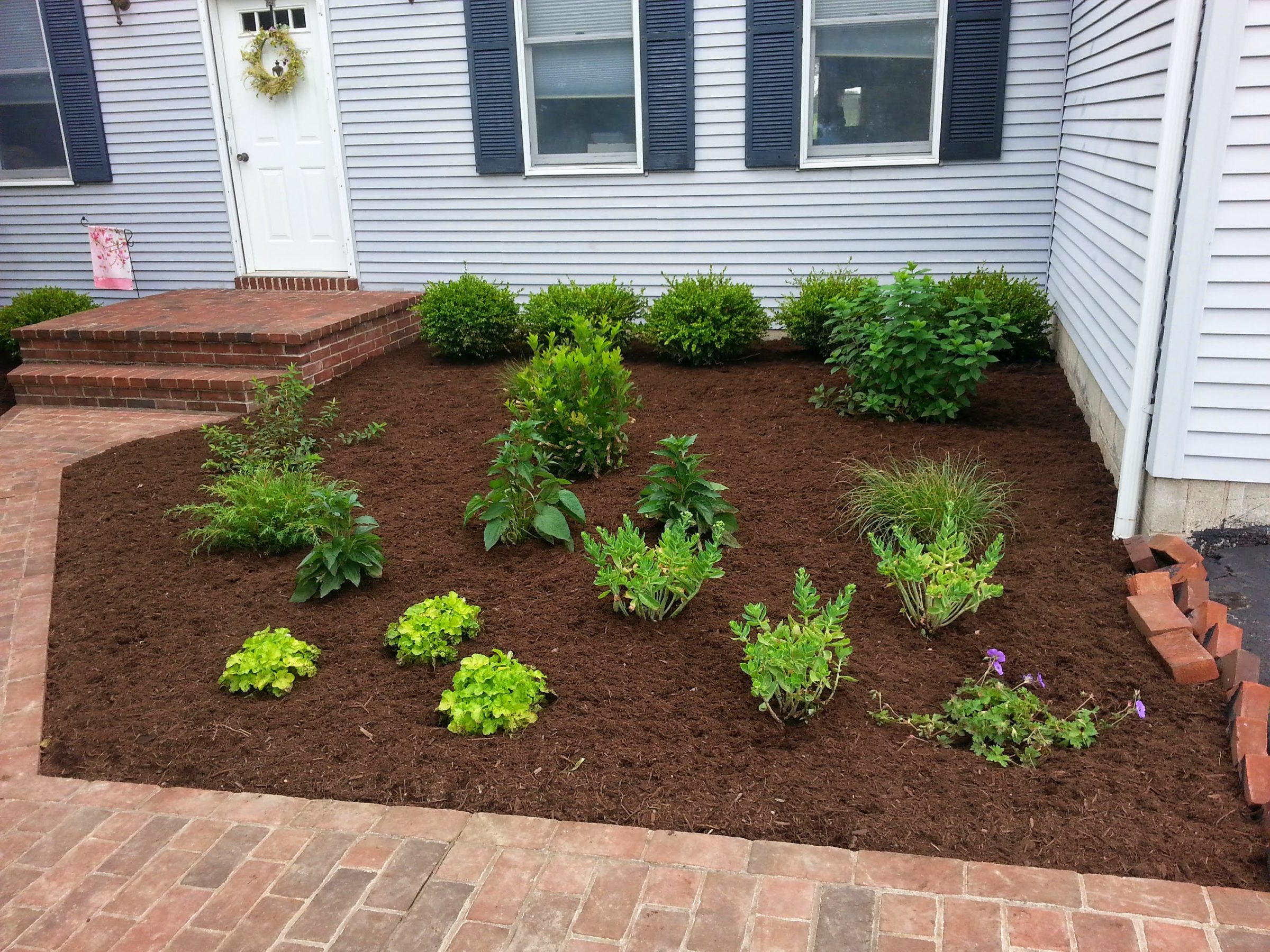 Freshly mulched front yard garden with small shrubs