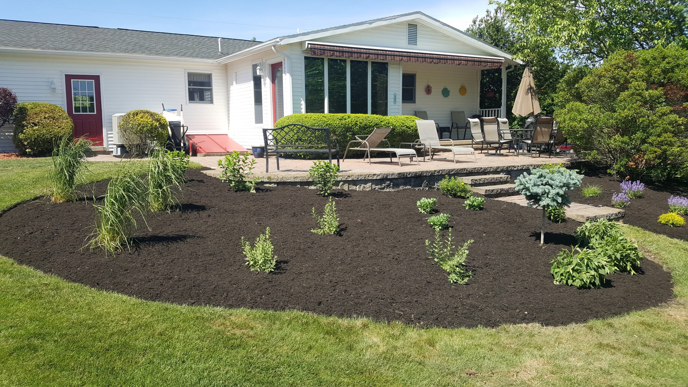 Backyard patio with landscaped garden and seating area