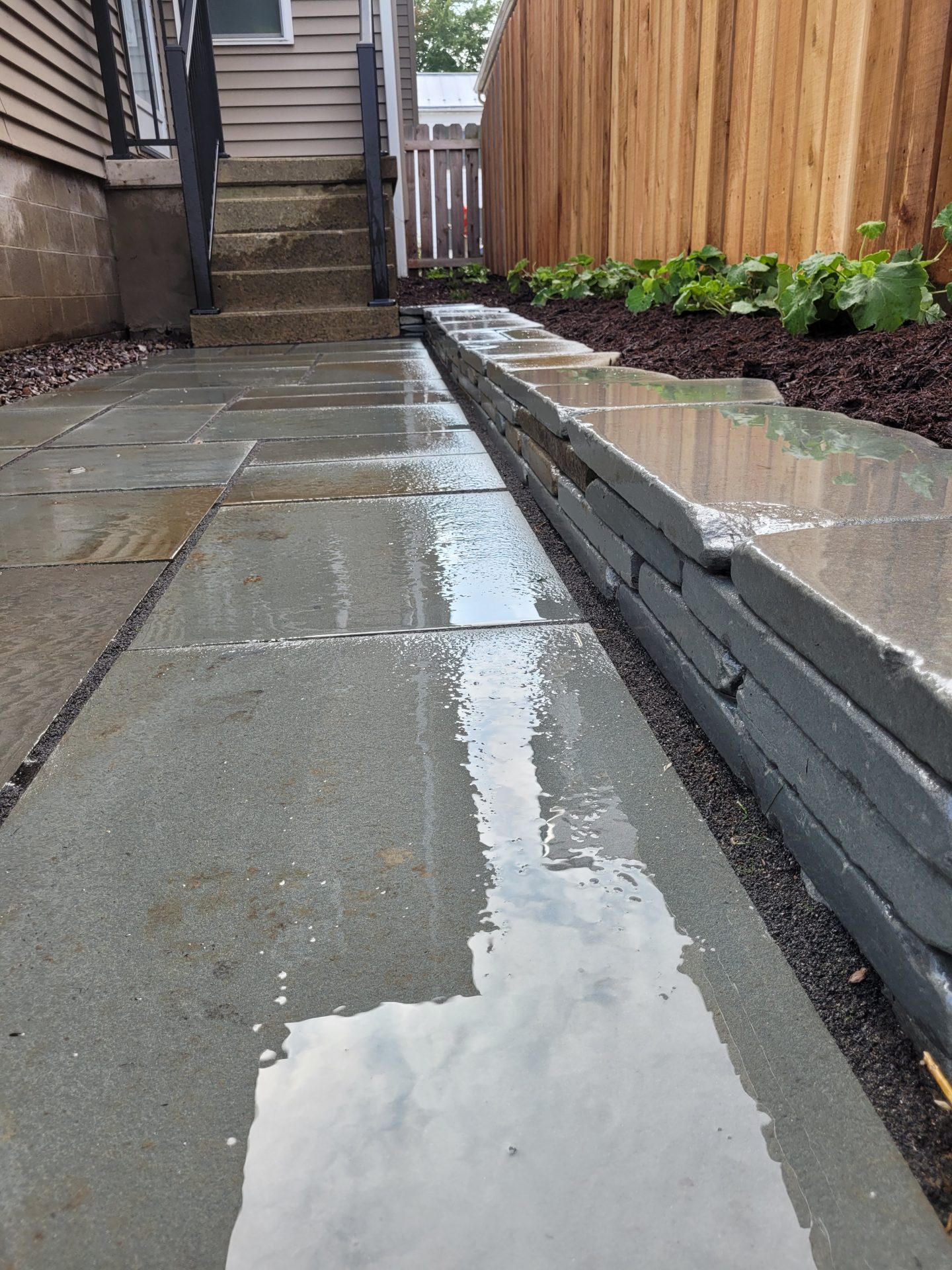 Wet stone walkway beside house and garden bed
