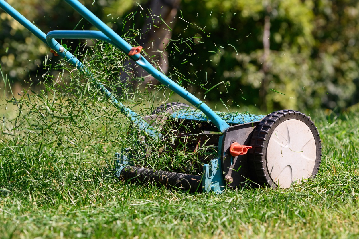 Manual reel lawn mower cutting green grass